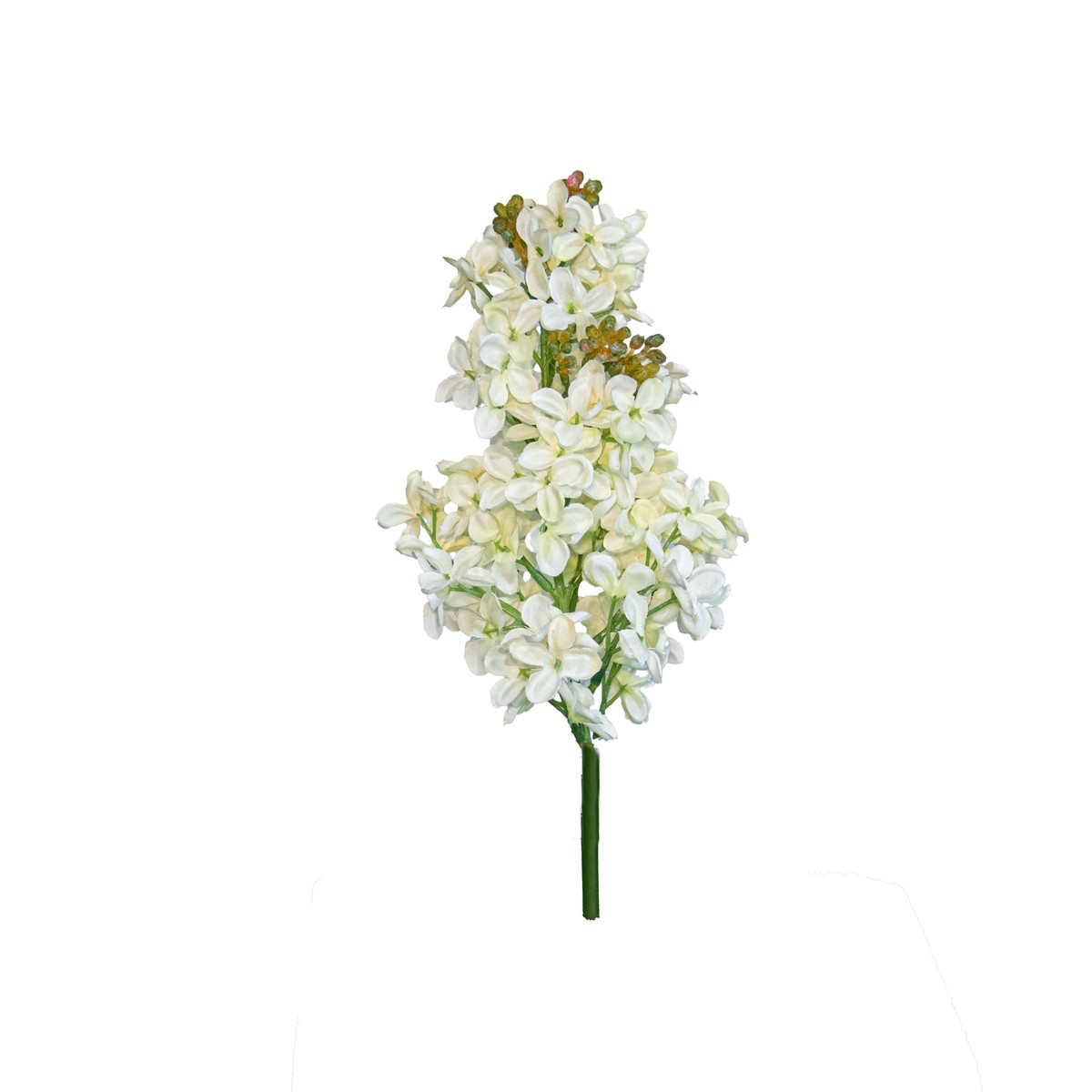Lilac Spray, Cream, 19"