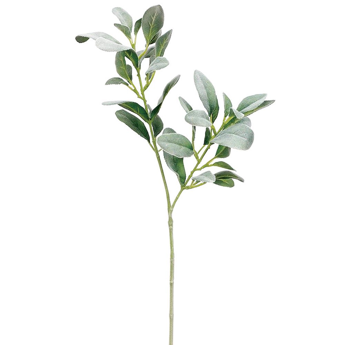 Lamb's Ear Leaf Spray, 28" (Green)