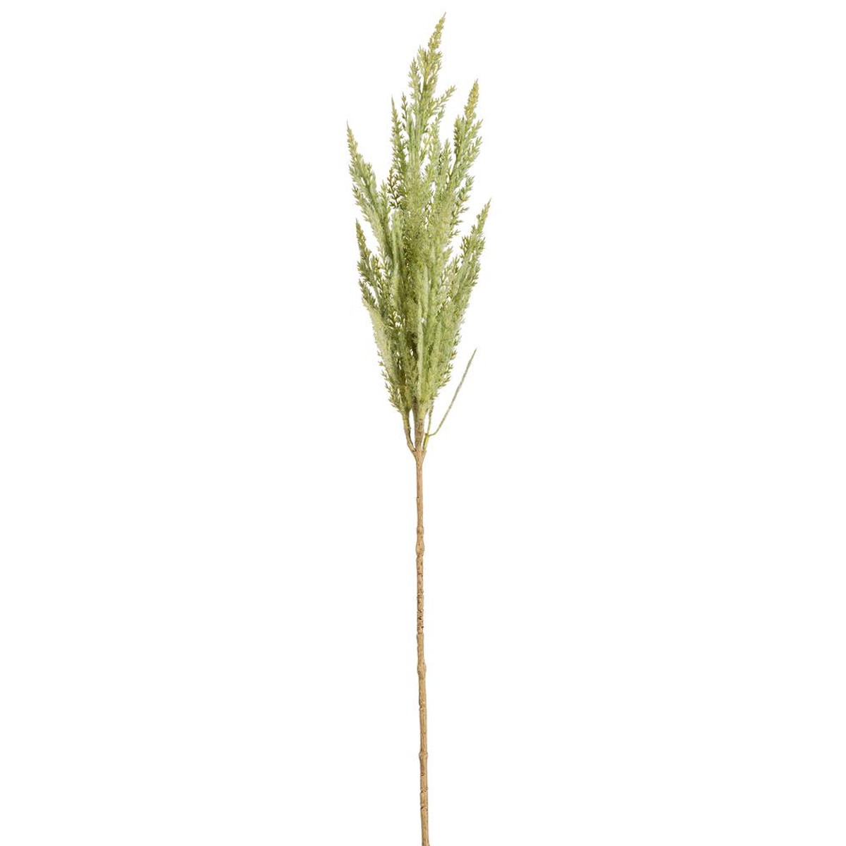 Pampas Grass Spray, 32" (Green)