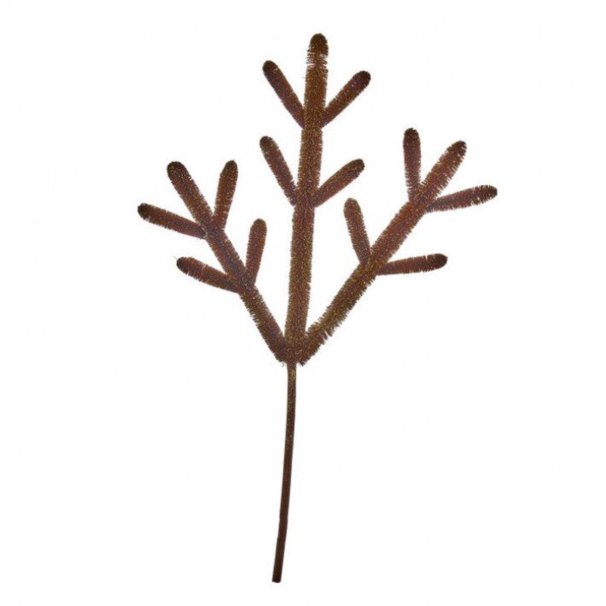 Fiber Antler Spray, 24" (Brown)