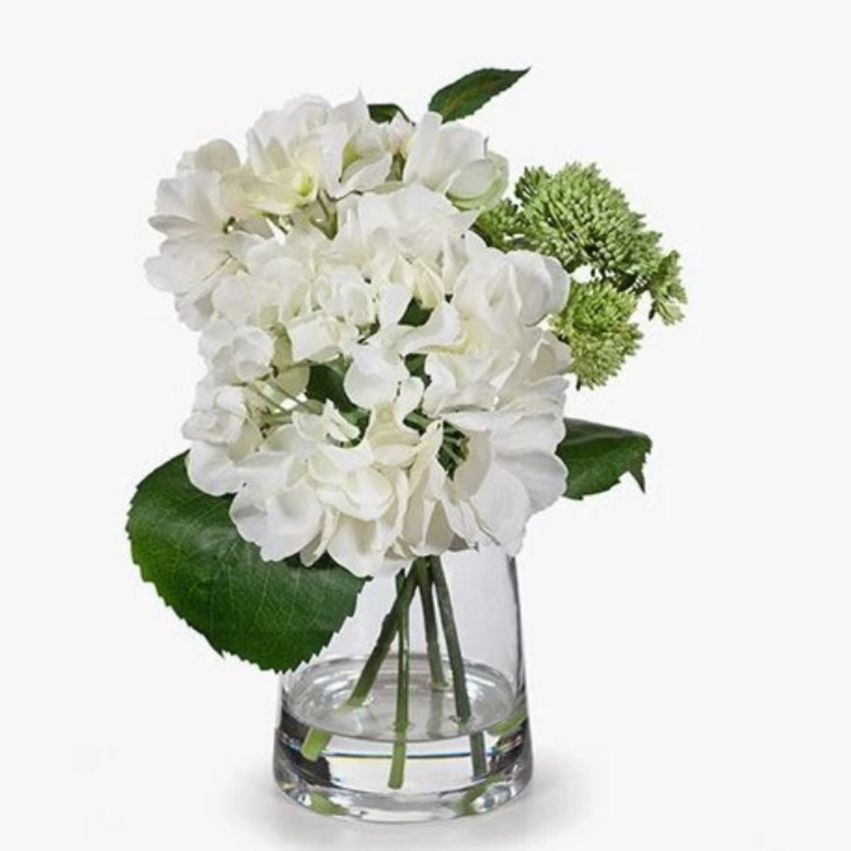 Hydrangea Sedum Mix in Vase Cream Green 28cmh