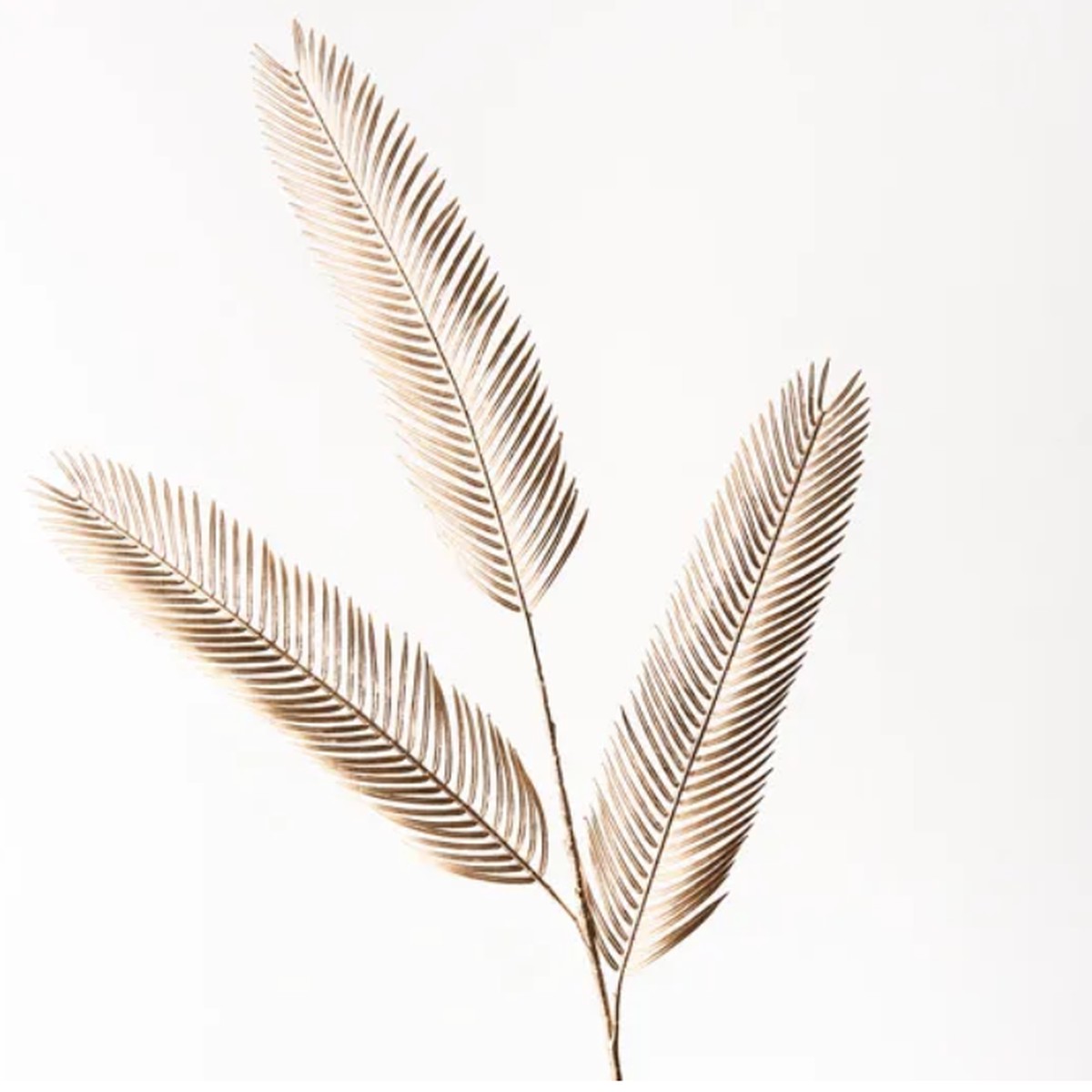 Fern Sword Spray Gold 94cml
