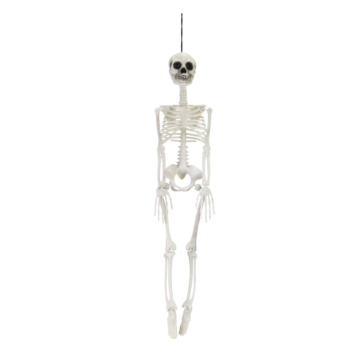 Hanging Skeleton 80cm