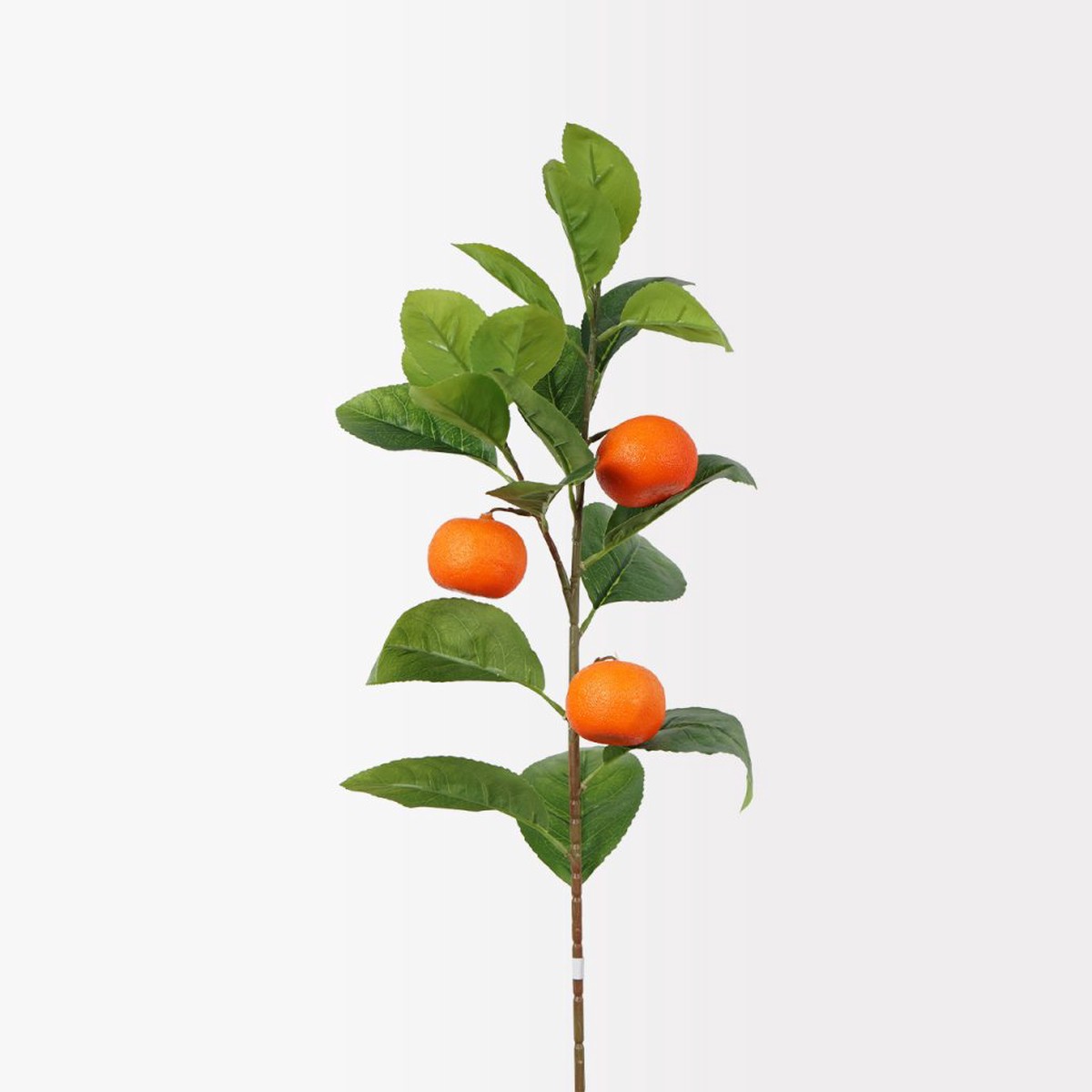 Citrus Spray 83cm