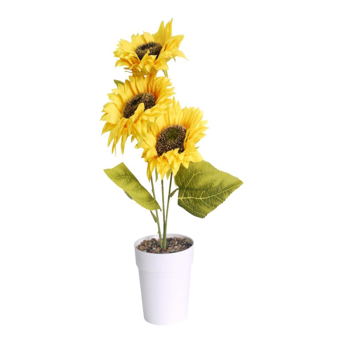 3 Head Sunflower in Pot 30cm