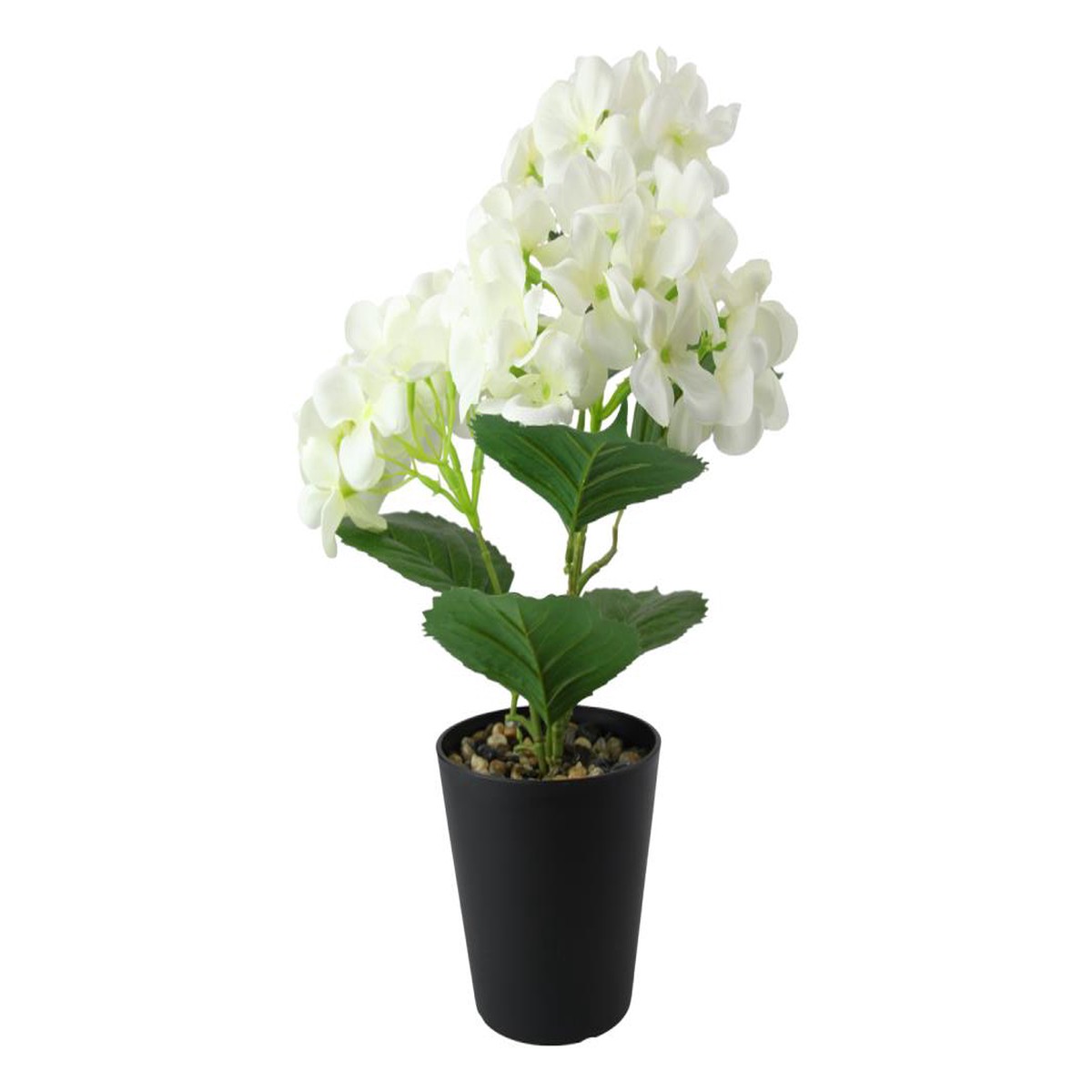 WHITE HYDRANGEA IN BLACK POT 40CM