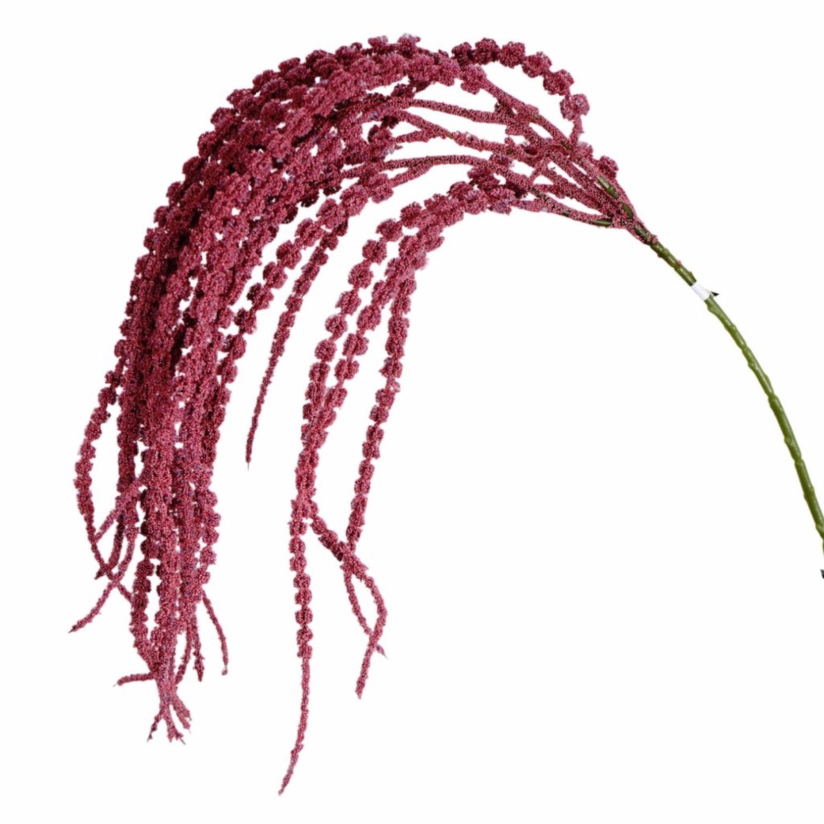 Amaranthus Spray 88CM