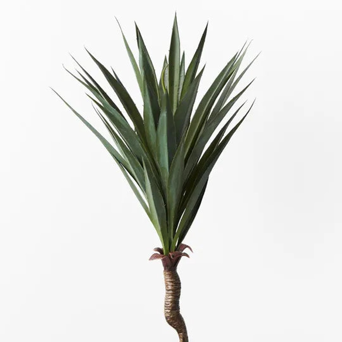 Yucca Stem Green 43cml