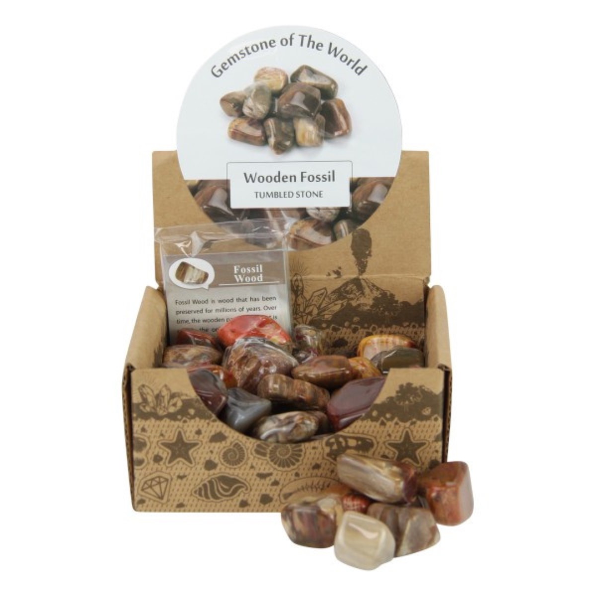 Wooden Fossil Tumble Stone 2-3Cm