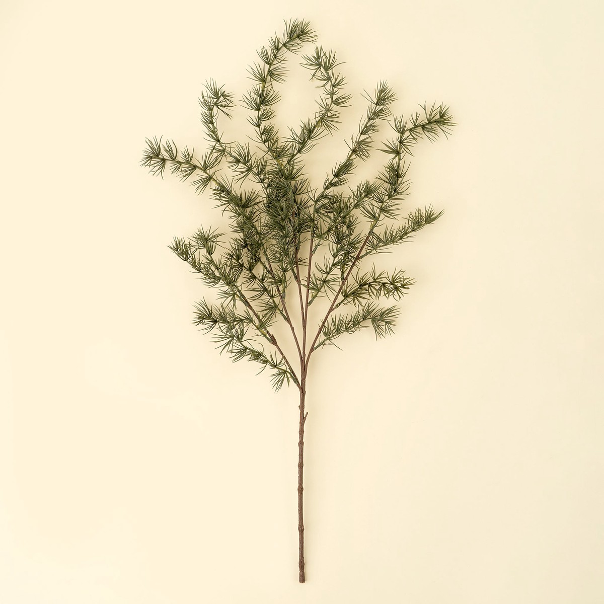 Evergreen Larch Sprig