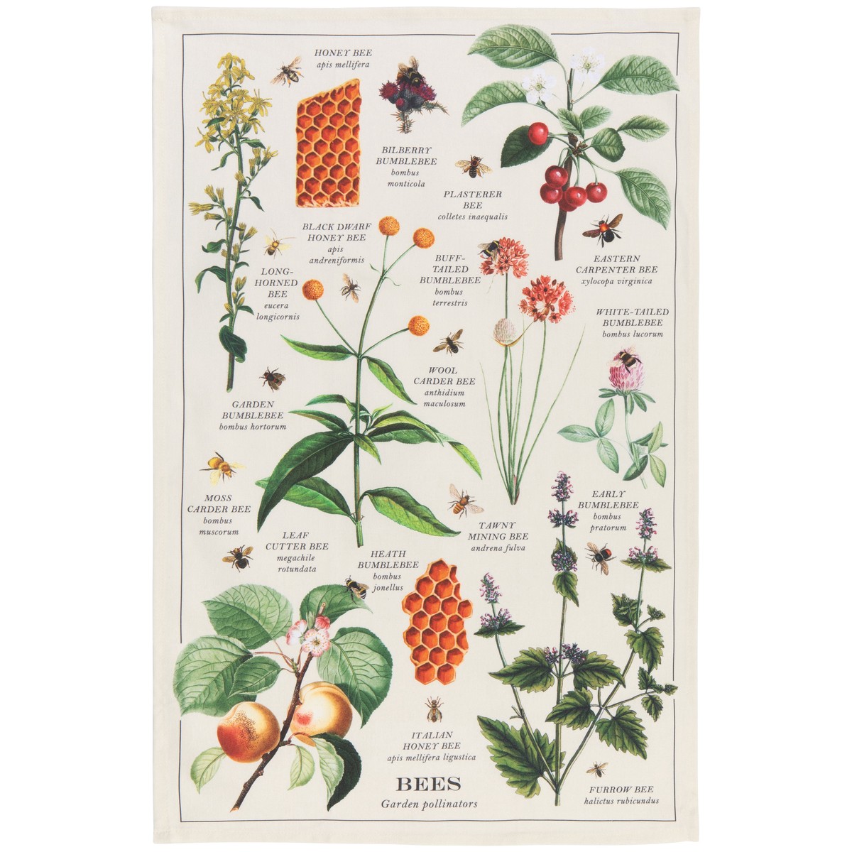 Tea Towel - Bee Varieties